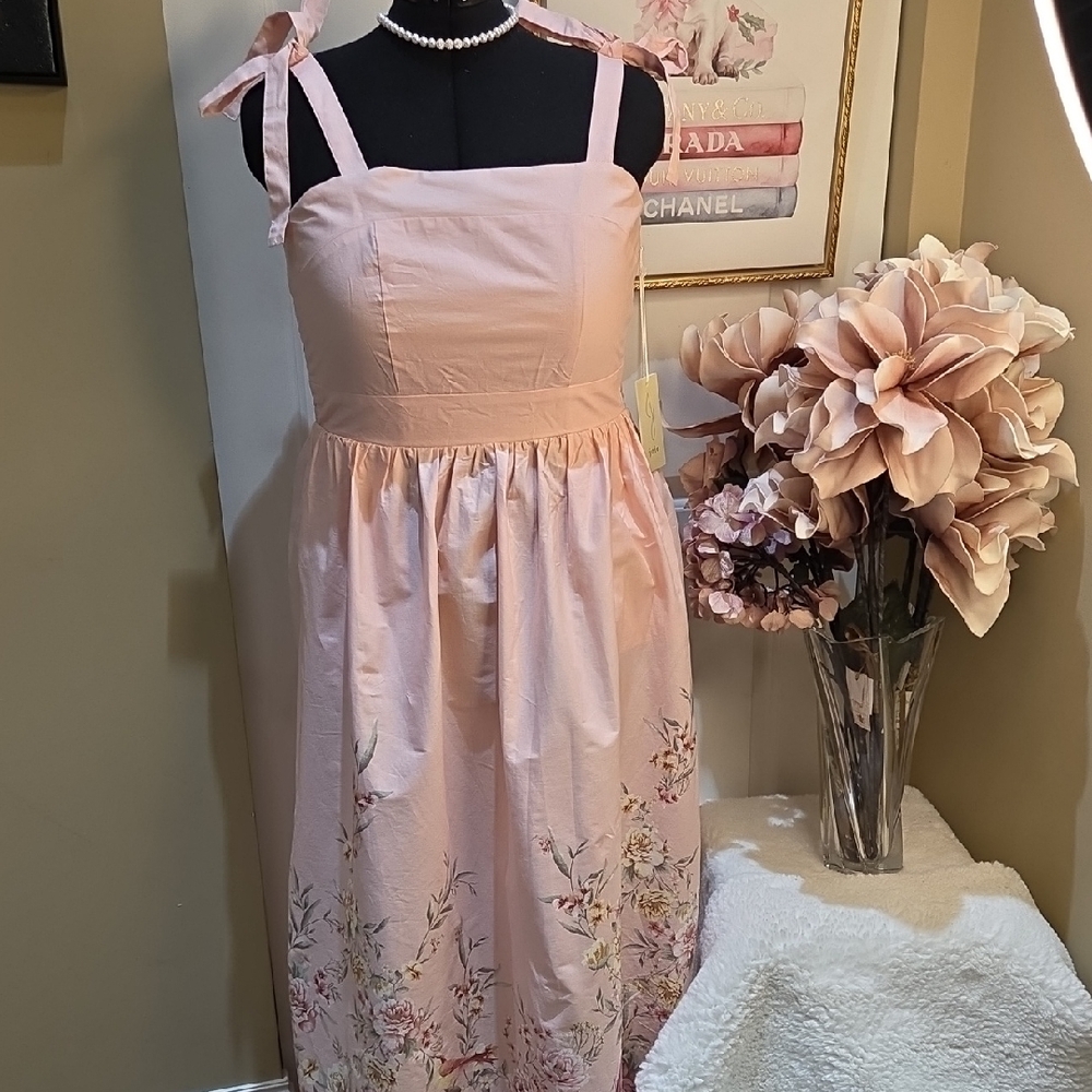 Nwt XL. Large. Medium Joie Light Pink Floral Maxi Dress  And Zipper In The Back